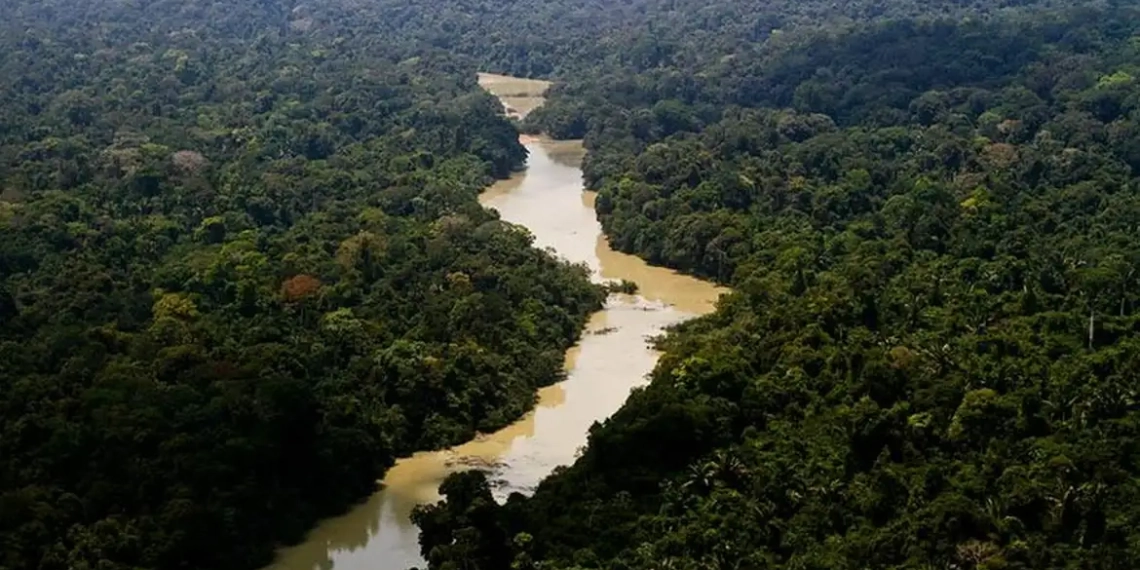 Governo cria Plano Floresta + Sustentável, de ação para recuperação e uso sustentável das florestas. Na imagem: Rio Jamanxim beira o lado leste da Floresta Nacional de Jamanxim (PA), uma das áreas protegidas mais ameaçadas do Brasil (Foto: Leonardo Milano/ICMBio)