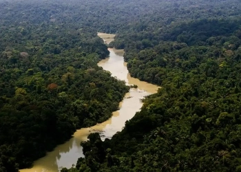 Governo cria Plano Floresta + Sustentável, de ação para recuperação e uso sustentável das florestas. Na imagem: Rio Jamanxim beira o lado leste da Floresta Nacional de Jamanxim (PA), uma das áreas protegidas mais ameaçadas do Brasil (Foto: Leonardo Milano/ICMBio)