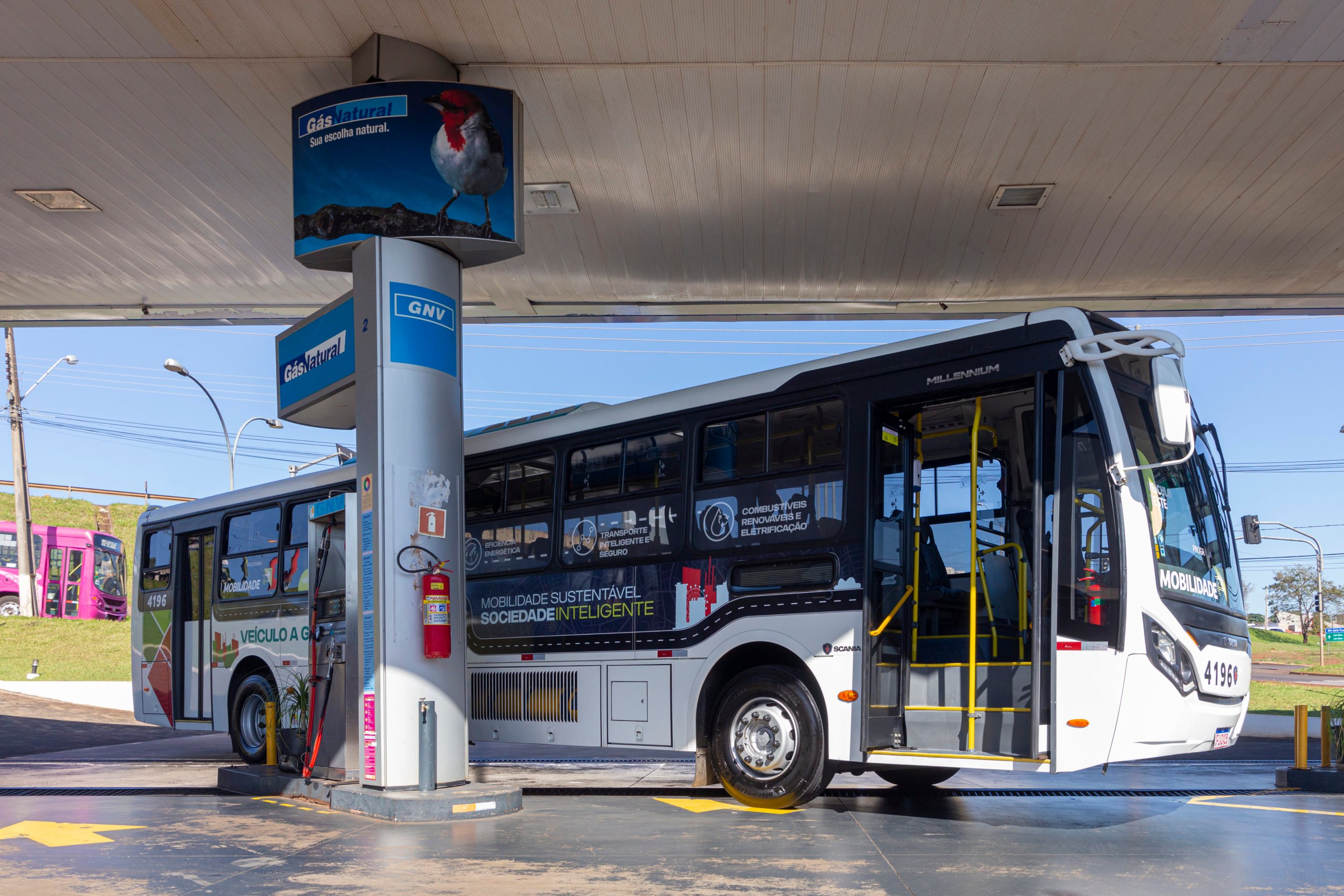 COP28: a chave para a descarbonização está no tratamento do lixo e na produção de biometano. Na imagem: Ônibus 100% a biometano testado em Londrina (PR), conectado à bomba em posto de abastecimento de GNV e biometano (Foto: Cortesia Compagas)