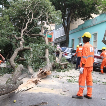 Nova crise no fornecimento de energia por fortes chuvas e quedas de árvores pela capital São Paulo intensifica reação contra Enel. Na imagem: Funcionários da prefeitura removem árvore derrubada pelas fortes chuvas que voltaram a atingir a capital, danificando residências, veículos e a rede elétrica da cidade, em 9/1/2024 (Foto: Rovena Rosa/Agência Brasil)