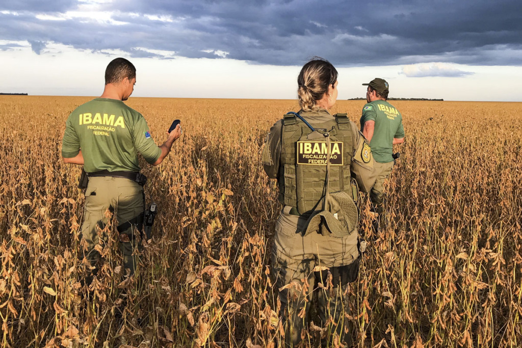 Servidores do Ibama iniciam, nesta segunda (24/6/24). greve em cinco estados: Paraíba, Rio Grande do Norte, Acre, Pará e Distrito Federal. Na imagem: Agentes do Ibama durante a operação Quimera (Foto: Divulgação)