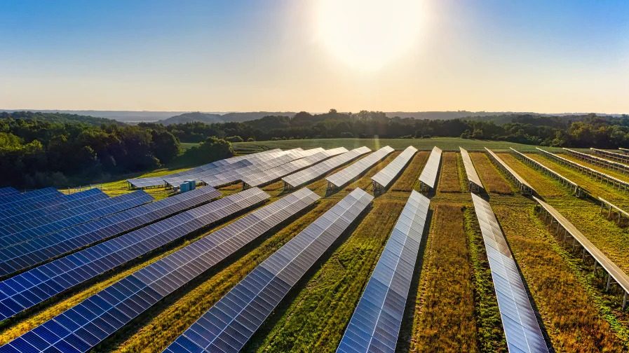 Élis Energia, da gestora Pátria Investimentos, quer triplicar usinas solares fotovoltaicas mirando energia por assinatura (Foto: Divulgação)