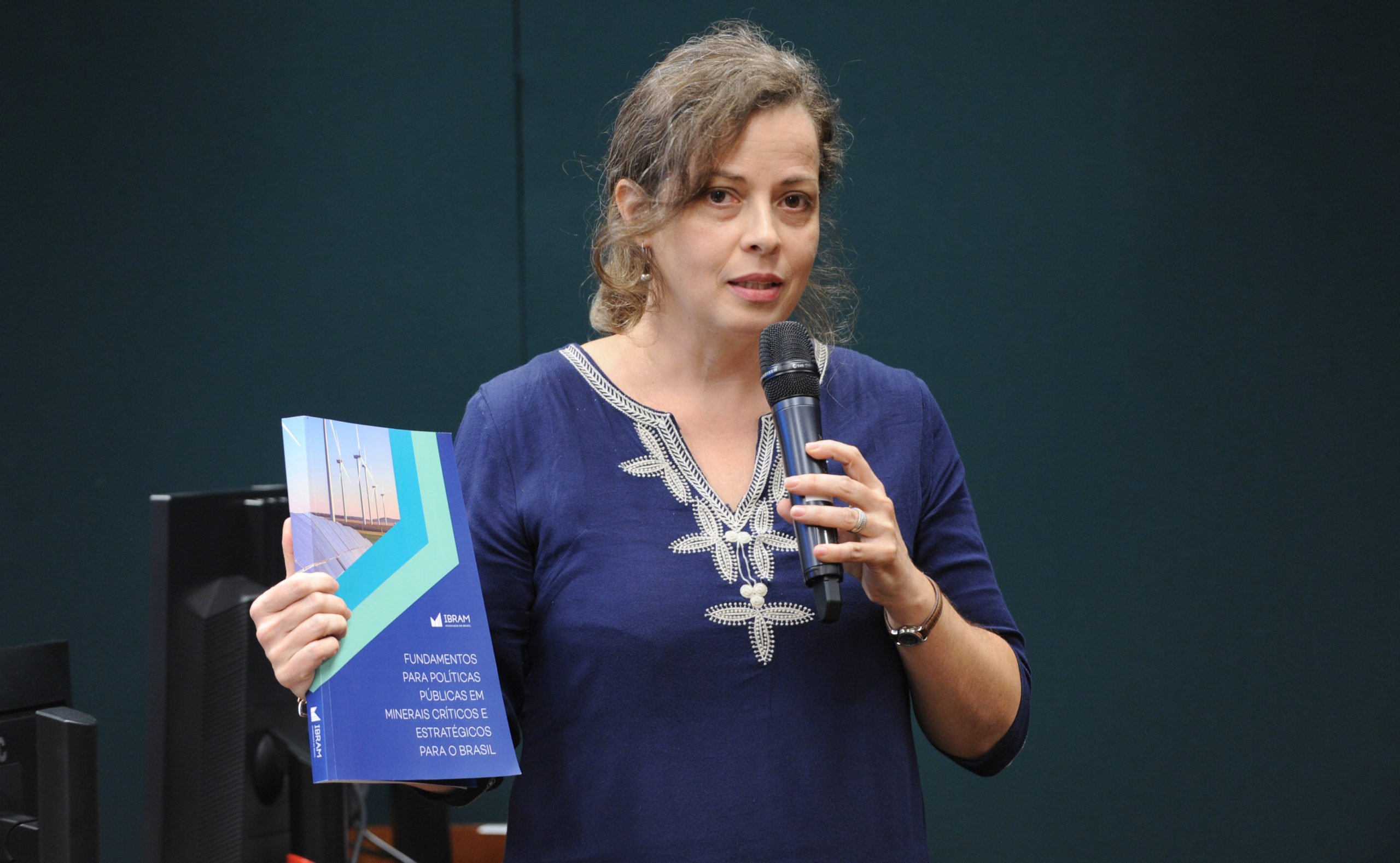 Brasil oferta, mas não precifica minerais verdes, mostra estudo (Foto: Renato Araujo/Câmara dos Deputados)