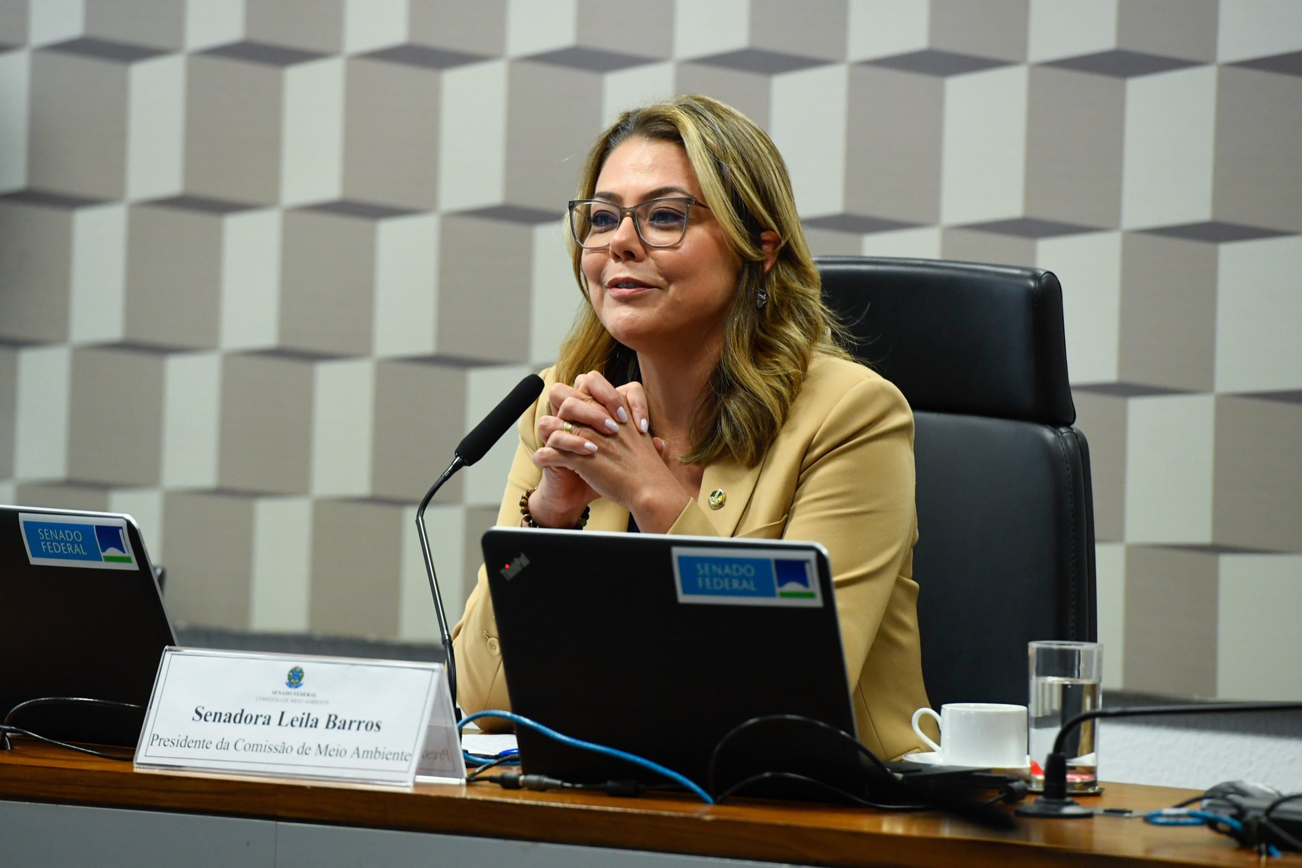 Mercado de carbono deve ser votado no início de setembro, diz senadora. Na imagem: Senadora Leila Barros (PDT/DF), relatora do PL do mercado de carbono, durante reunião da CMA no Senado (Foto: Roque de Sá/Agência Senado)