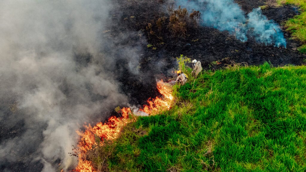 Estiagem leva o Acre a decretar emergência ambiental (Foto: Neto Lucena/Secom AC)