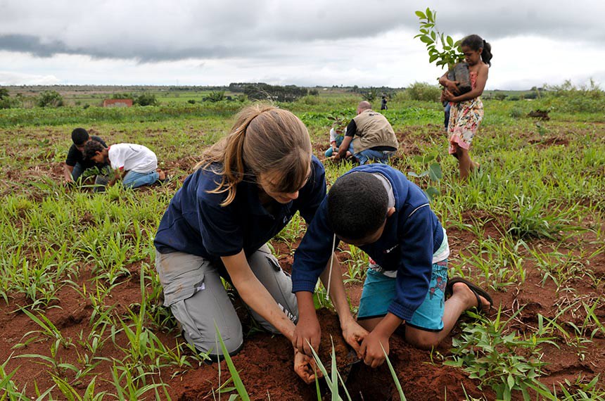 Educação ambiental: estudantes participam de mutirão de plantio de mudas de espécies do Cerrado em Planaltina/DF (Foto: Tony Winston/Agência Brasília)