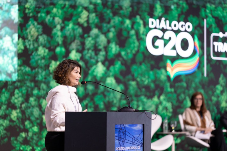 Luciana Costa, diretora do BNDES, participa do 'do Diálogos de Transição Energética' promovido pelo G20 Brasil, em 28/8/2024 (Foto G20 Brasil)