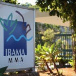 Ibama reconhece avanços em propostas da Petrobras e irá reavaliar Plano de Proteção à Fauna (PPAF) na Foz do Amazonas. Na imagem: Na imagem: Sede do Ibama (Foto: Divulgação)