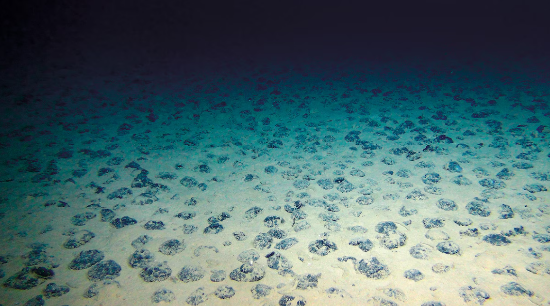 Oxigênio no fundo do mar aumenta pressão por moratória na mineração submarina (Foto: Rov Kiel 6000, Geomar)