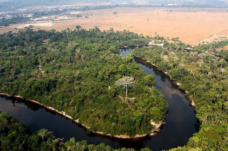 Entenda como a taxonomia verde, que garante transparência de transações sustentáveis, pode colocar o Brasil na direção do financiamento sustentável. Na imagem: Bioma brasileiro afetado pelas secas e mudanças climáticas (Foto Felipe Werneck/Ibama)