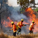 Bombeiros combatem incêndio em floresta no Guará, no Distrito Federal, em 4/9/2024 (Foto Leopoldo Silva/Agência Senado)