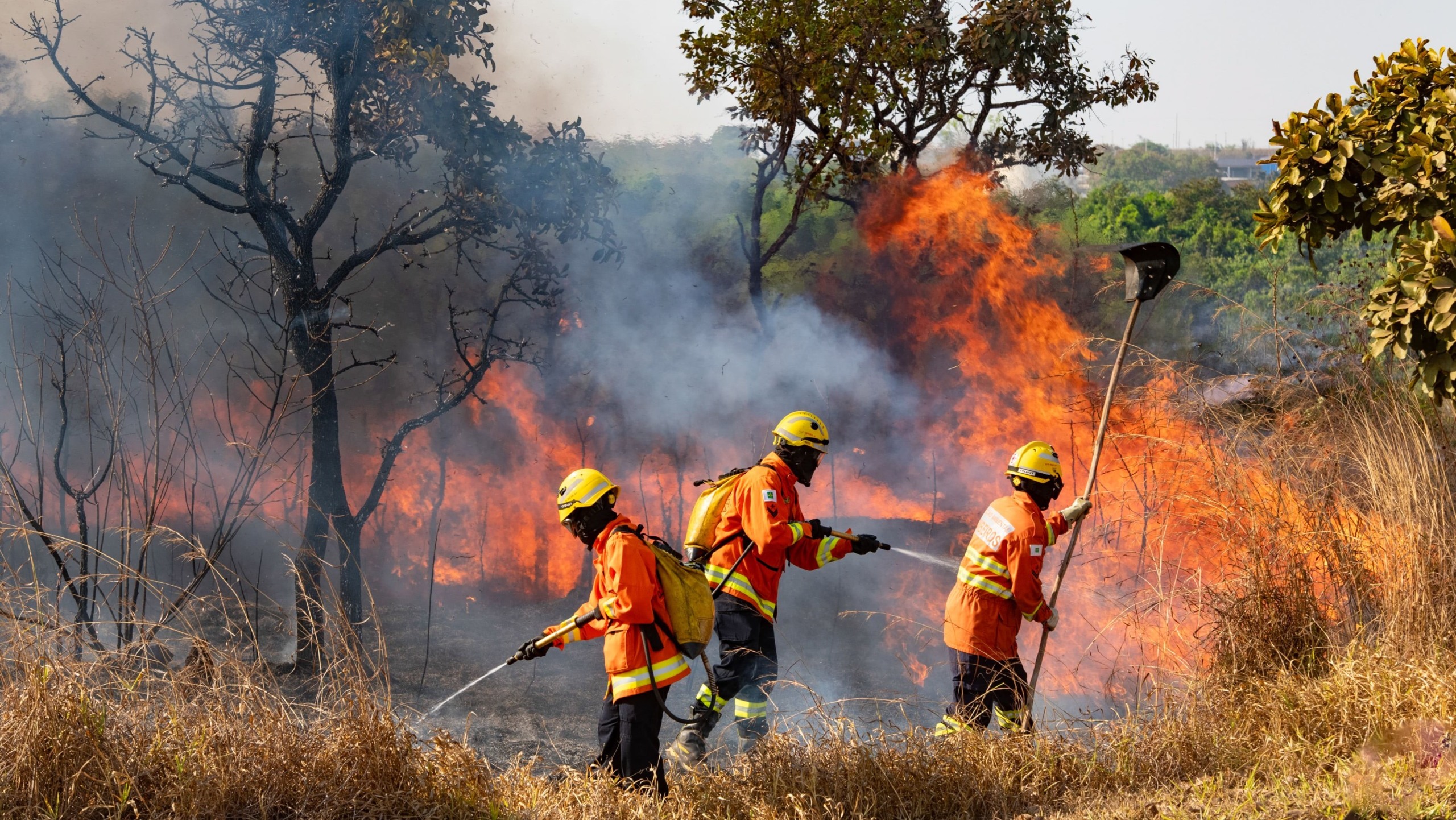 Bombeiros combatem incêndio em floresta no Guará, no Distrito Federal, em 4/9/2024 (Foto Leopoldo Silva/Agência Senado)