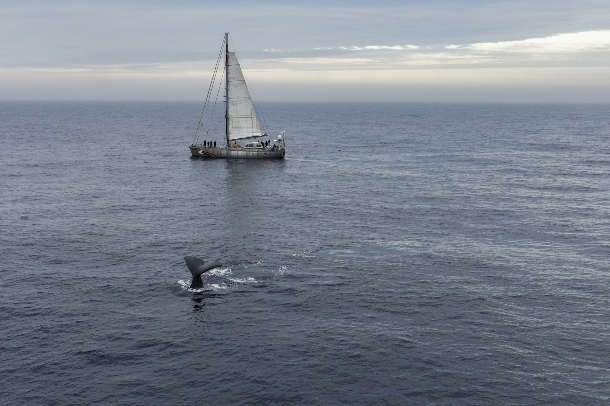 Mineração no mar: Noruega mira renováveis, mas ameaça vida no Ártico (Foto: ©Christian Åslund/Greenpeace)