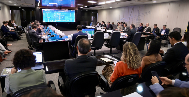 Reunião do CMSE (Foto Ricardo Botelho/MME)