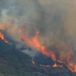 Queimadas na Amazônia equiparam, em apenas três meses, emissões brasileiras às da Noruega durante um ano todo. Na imagem: Mata em chamas em em Itaipava devido a uma sucessão de incêndios florestais de grandes proporções na Região Serrana do Rio (Foto Fernando Frazão/Agência Brasil)