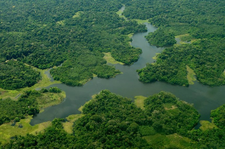 Vista aérea de vegetação e rio no bioma amazônico (Foto Ubirajara Machado)