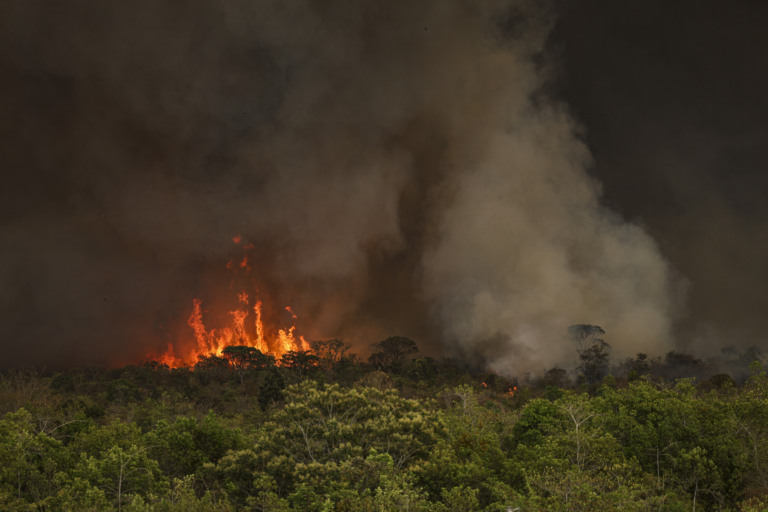 COP30: desmatamento e apego fóssil desafiam ‘liderança pelo exemplo’ do Brasil (Foto: Marcelo Camargo/Agência Brasil)