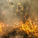 Plantadores de cana estimam mais de R$ 800 milhões em prejuízos com incêndios (Foto: Marcelo Camargo/Agência Brasil)