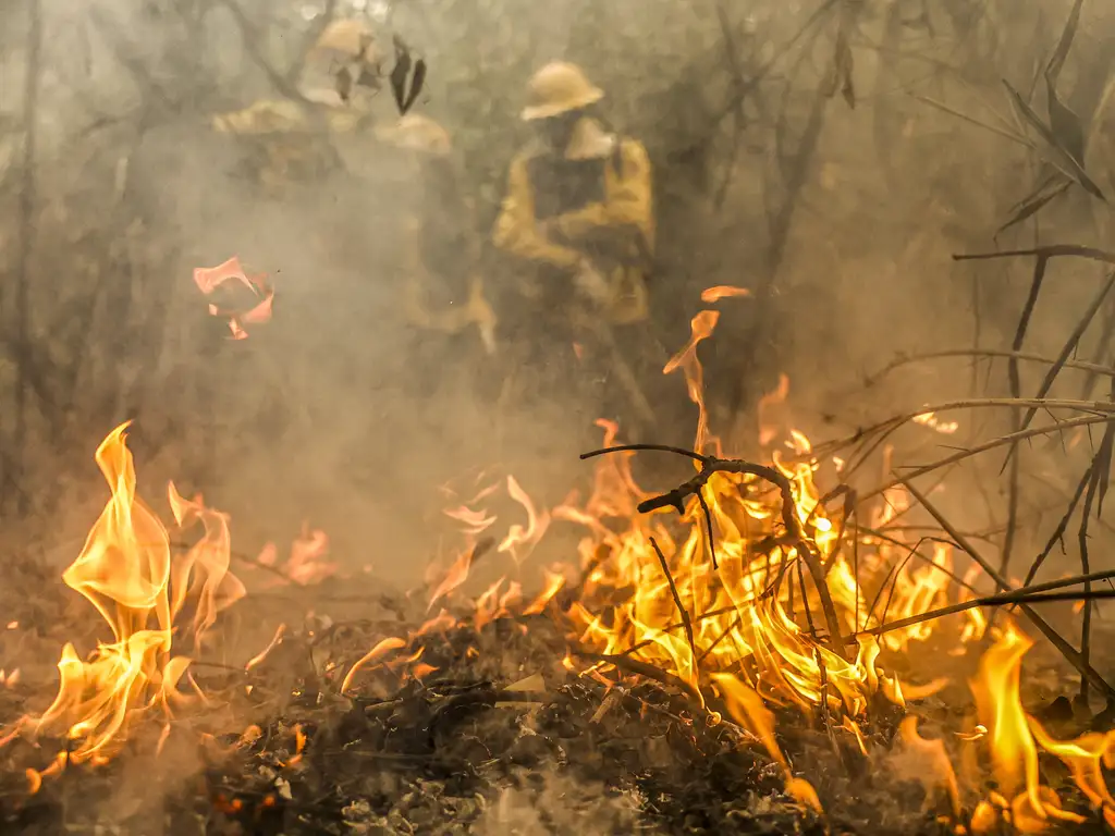 Plantadores de cana estimam mais de R$ 800 milhões em prejuízos com incêndios (Foto: Marcelo Camargo/Agência Brasil)