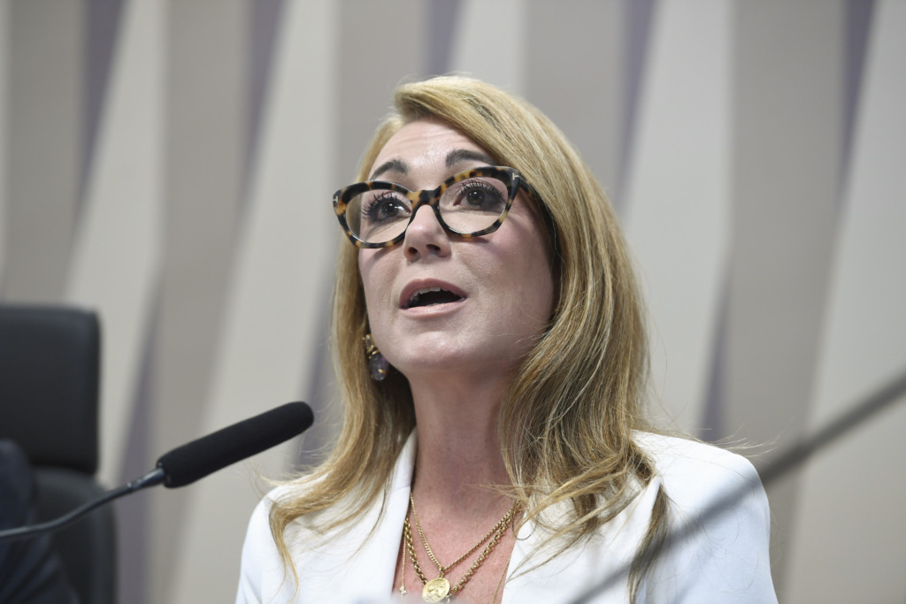 Diretora-executiva da ABIHV, Fernanda Delgado (Foto: Edilson Rodrigues/Agência Senado)