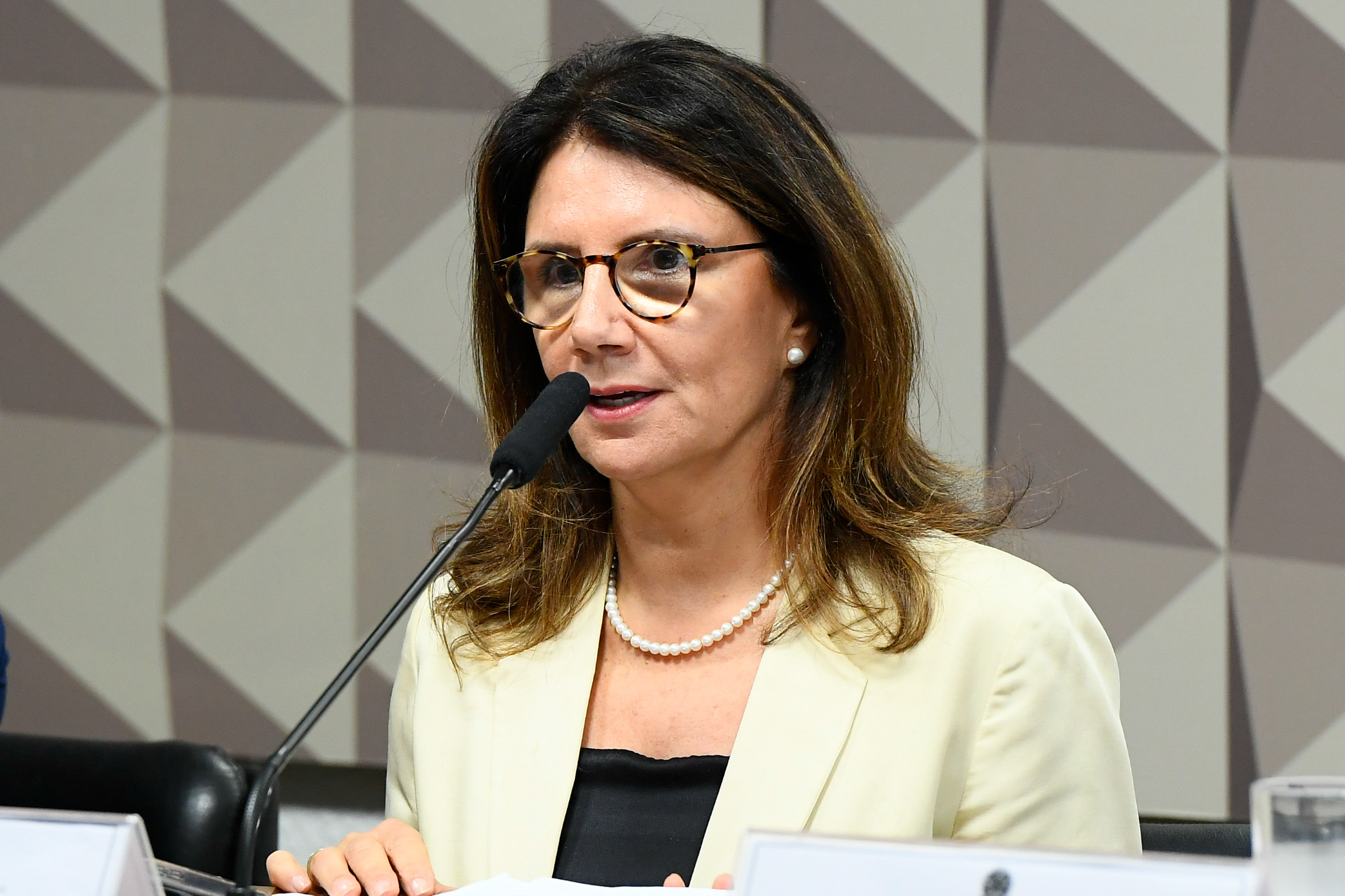 Não há acordo para financimaneto climático às vésperas da COP 29, diz Ana Toni (Foto: Marcos Oliveira/Agência Senado)