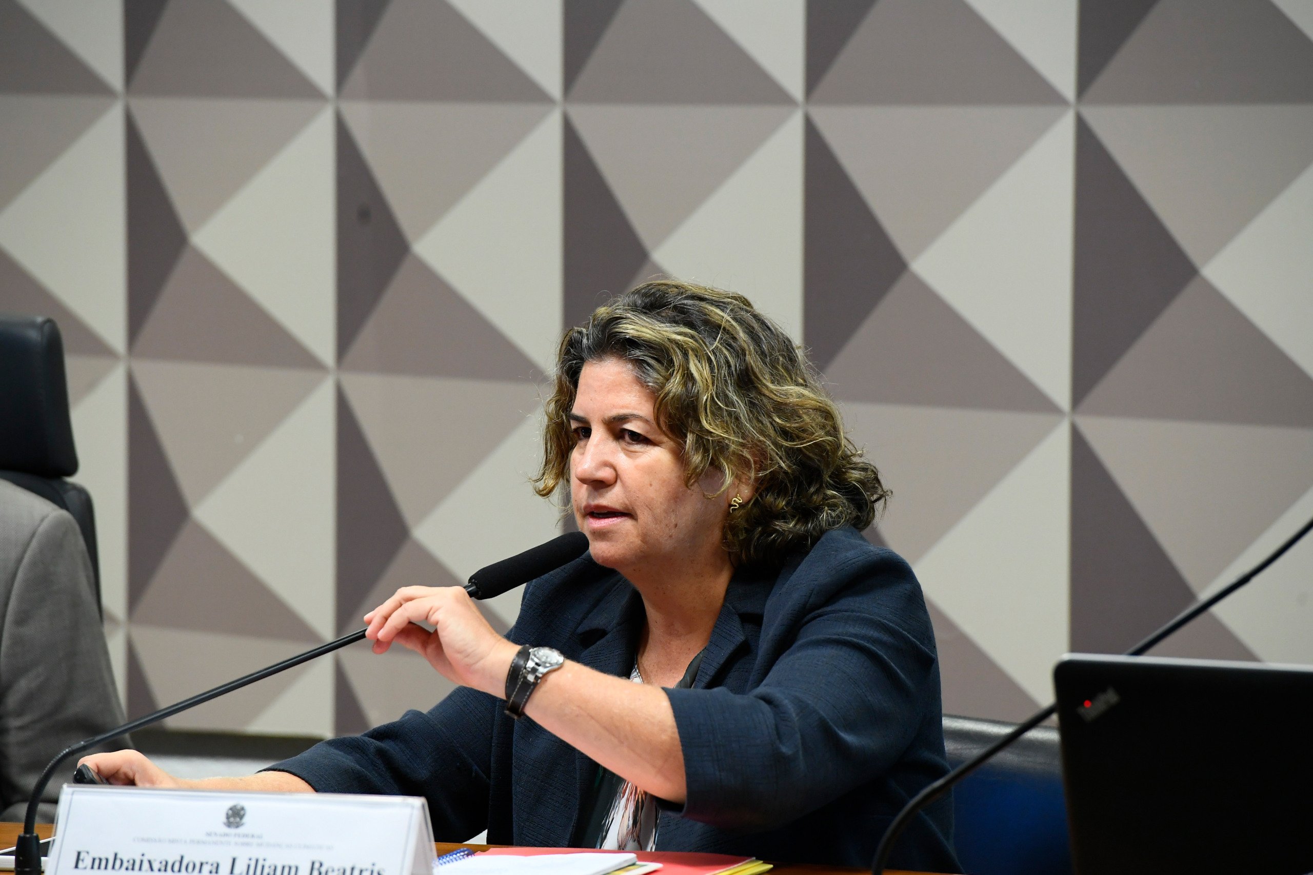 Guerras podem atrapalhar negociações na COP29, diz diplomata brasileira (Foto: Marcos Oliveira/Agência Senado)