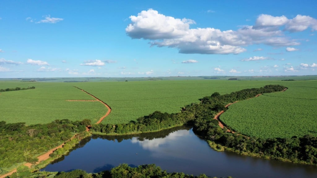 São Martinho certifica etanol de cana para SAF no Corsia (Foto: Divulgação São Martinho)