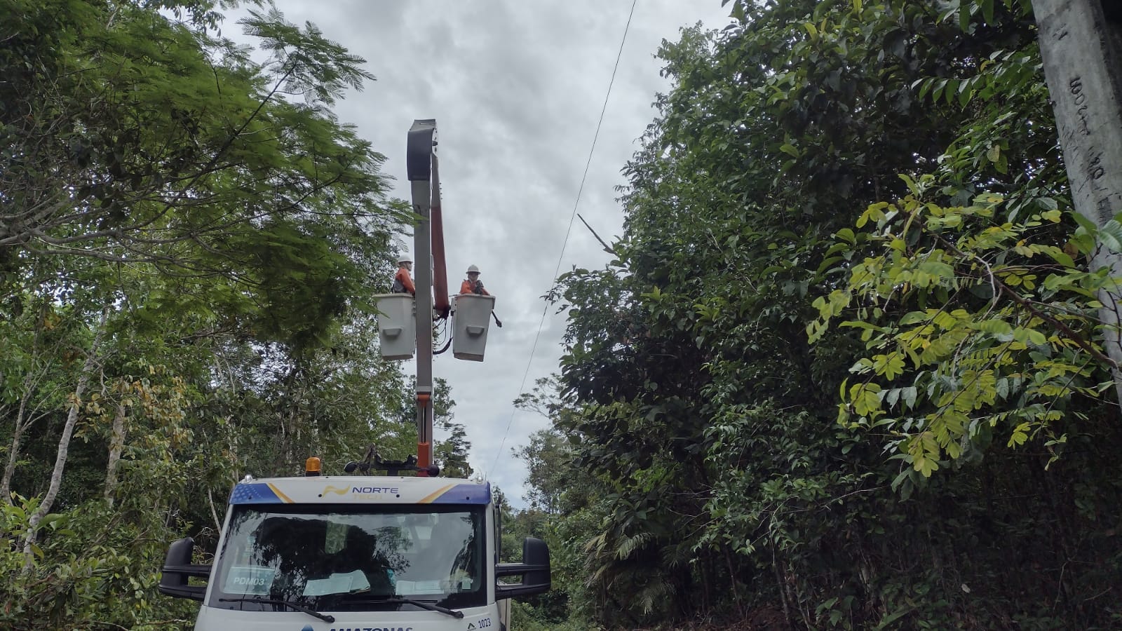 Eletricistas fazem manutenção em rede de distribuição da amazonas energia 