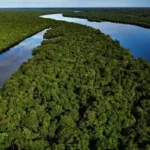 Imagens aéreas feitas com drone de rio cortando a floresta amazônica (Foto Amazônia Divulgação)