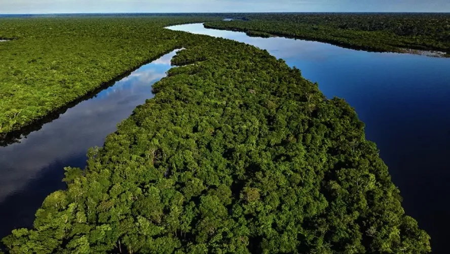 Imagens aéreas feitas com drone de rio cortando a floresta amazônica (Foto Amazônia Divulgação)