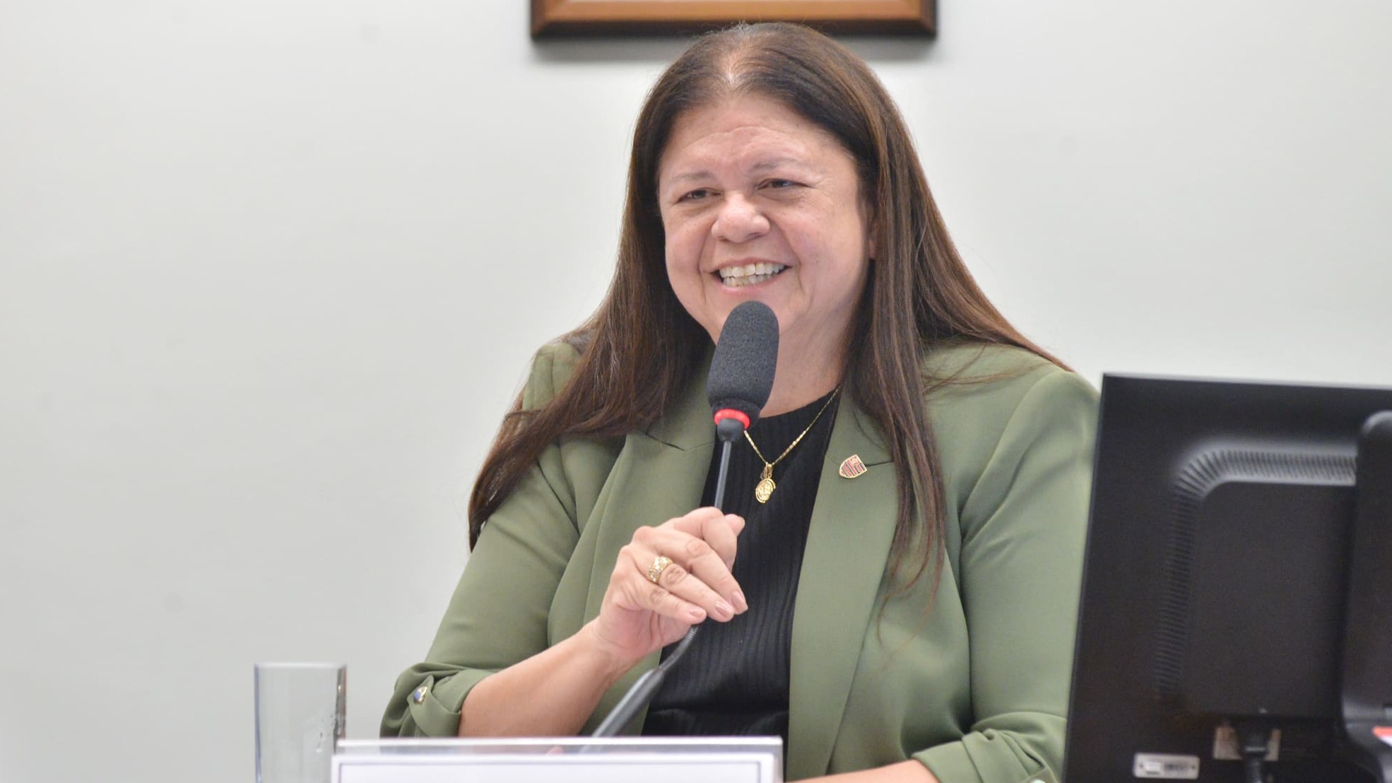 Laura Carneiro, à mesa, durante audiência da Comissão Especial de Combate ao Câncer, na Câmara, em 26/11/2024 (Foto Claudio Araujo/Câmara dos Deputados)