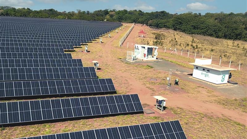 Vista de fileiras de painéis fotovoltaicos em usina de geração solar da Órigo Energia (Foto Divulgação)