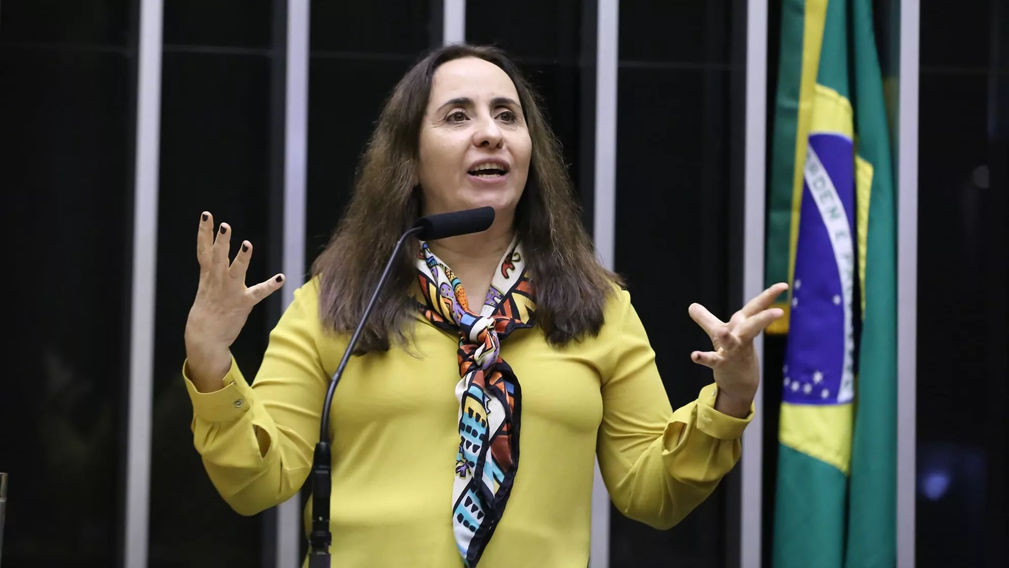 Adriana Ventura, à tribuna, durante sessão plenária para discussão e votação de propostas, em 12/3/2025 (Foto Kayo Magalhães/Câmara dos Deputados)