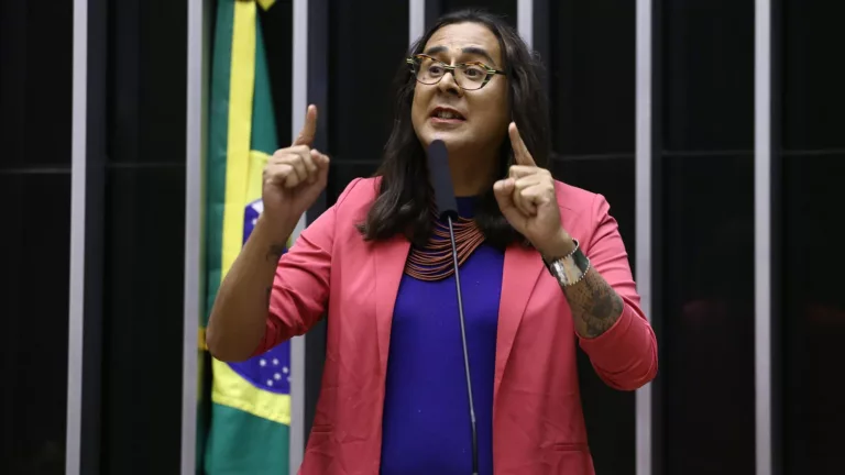 Duda Salabert, à tribuna, durante sessão plenária para discussão e votação de propostas, em 12/2/2025 (Foto Vinicius Loures/Câmara dos Deputados)