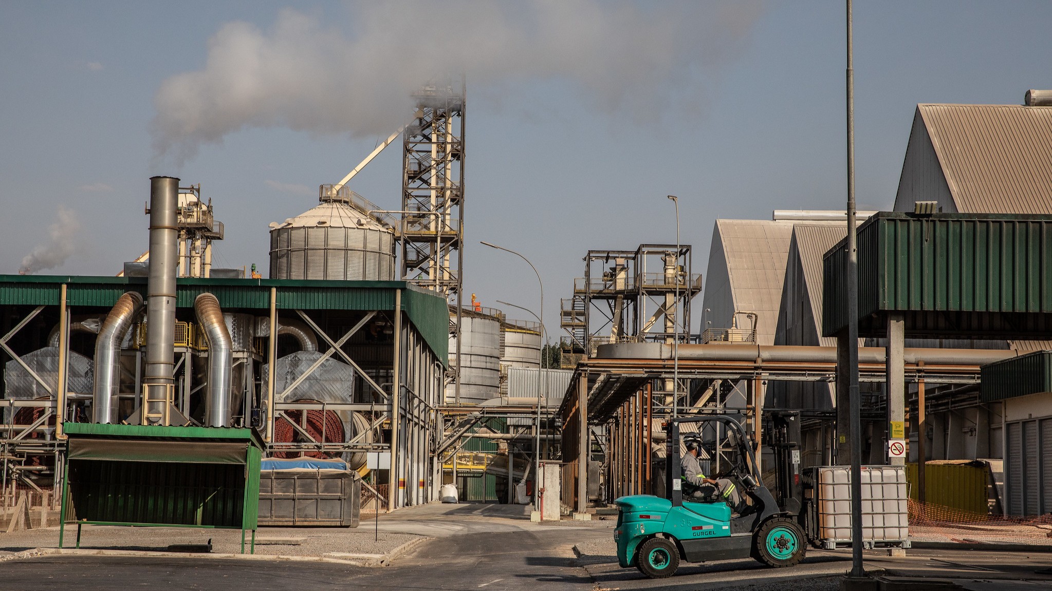 Brasil pode criar 760 mil novos empregos em bioenergia até 2030, apontam Schneider Electric e Systemiq