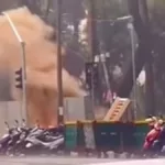 Vídeo que circula nas redes sociais mostra uma fumaça saindo de dutos na Praça da República, no centro de SP (Foto Reprodução Instagram @portalstaceciliabarrafunda @felipemedeirosof)