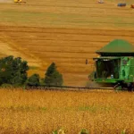 Máquina agrícola do tipo colheitadeira, na cor verde, em vasta área de plantio de soja (Foto Jaelson Lucas/AEN)