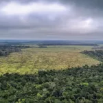 Área de desmatamento na floresta amazônica (Foto Divulgação Polícia Federal)