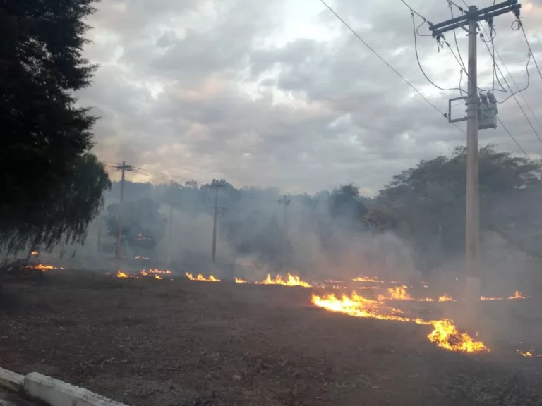 Ano de 2024 registrou número recorde de unidades consumidoras sem energia por causa de queimadas (Foto: Arquivo/Cemig)
