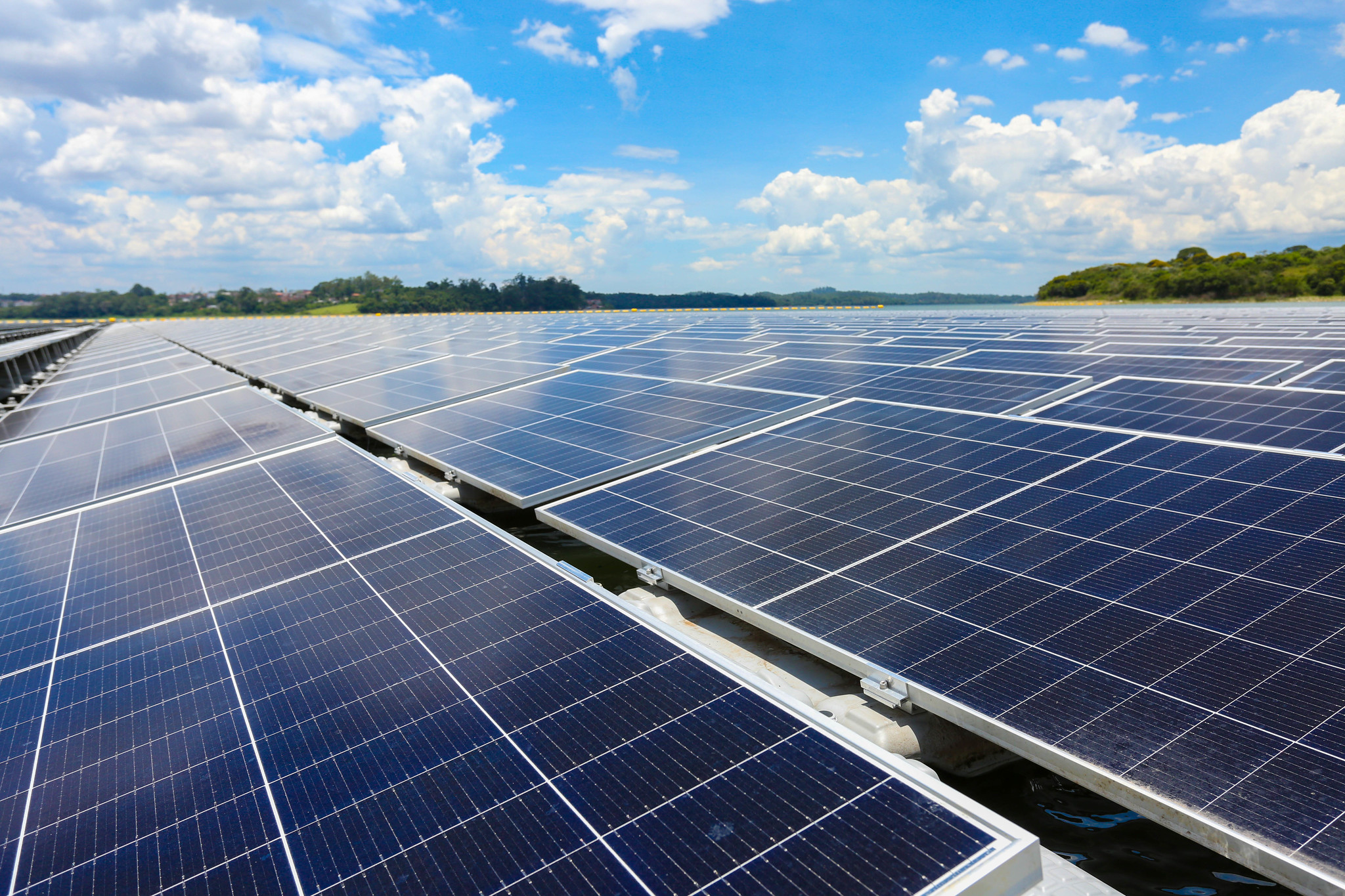 Petrobras e Lightsource notificam Cade sobre parceria no segmento de energias renováveis