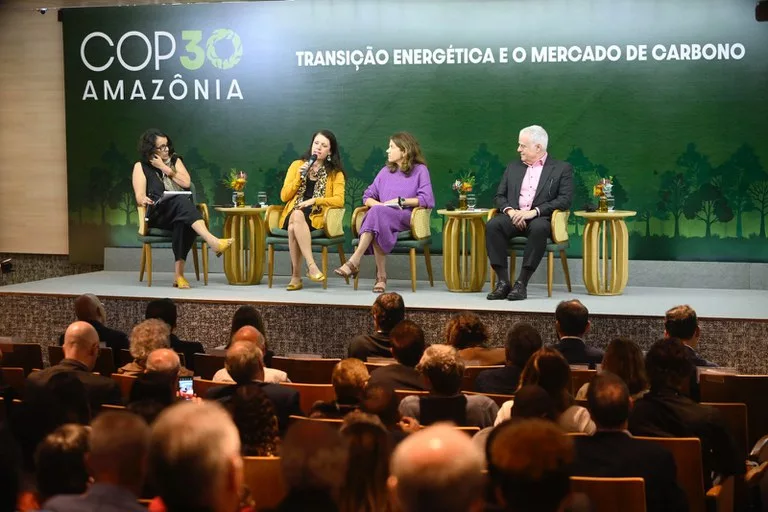 Subsecretária de Desenvolvimento Econômico Sustentável do Ministério da Fazenda, Cristina Reis (Foto Fabio Cordeiro)