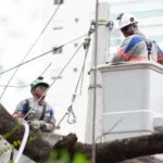 Técnicos realizam manutenção na rede elétrica (Foto: divulgação Enel)