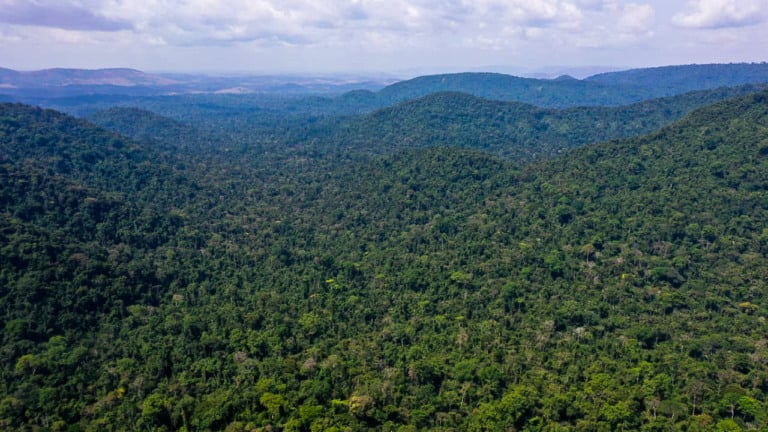 Amazônia Legal pode faturar US$ 320 bi com mercado de carbono, estima indústria