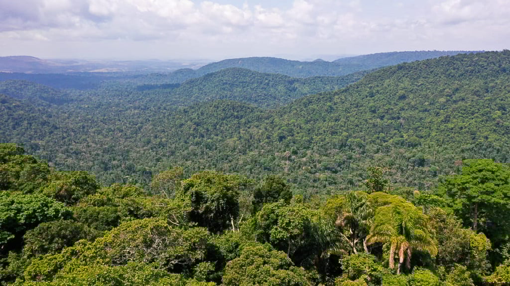 Sobrevoo na Floresta Nacional de Carajás, em Parauapebas (PA), na Amazônia Oriental (Foto TV Brasil) 