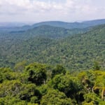 Sobrevoo na Floresta Nacional de Carajás, em Parauapebas (PA), na Amazônia Oriental (Foto TV Brasil) 