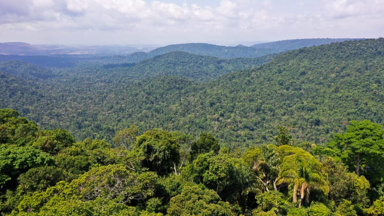 Sobrevoo na Floresta Nacional de Carajás, em Parauapebas (PA), na Amazônia Oriental (Foto TV Brasil) Sobrevoo na Floresta Nacional de Carajás, em Parauapebas (PA), na Amazônia Oriental (Foto TV Brasil)