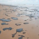 Vazamento de petróleo deixa manchas no litoral de Sergipe e de vários estados do Nordeste (Foto Adema/Governo de Sergipe)