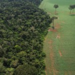 Vista aérea do encontro da Floresta Amazônica com lavouras de milho e soja, na margem da Terra Indígena Erikpatsa, onde vive o Povo Rikbaktsa, em Brasnorte/MT (Foto Fernando Frazão/Agência Brasil)