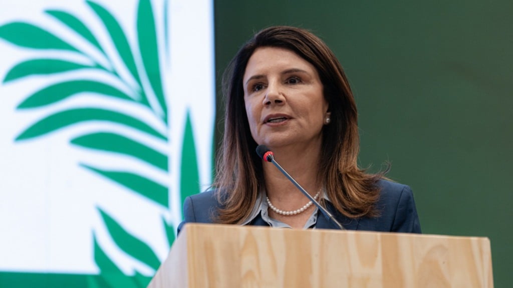 Secretária do MMA e CEO da COP30, Ana Toni, durante a Conferência Global sobre Saúde e Clima, em 29 de julho de 2025 (Foto Rafael Medelima/COP30)
