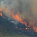 Mata em chamas em Itaipava devido a sucessivos incêndios florestais de grandes proporções na Região Serrana (Fernando Frazão/Agência Brasil)